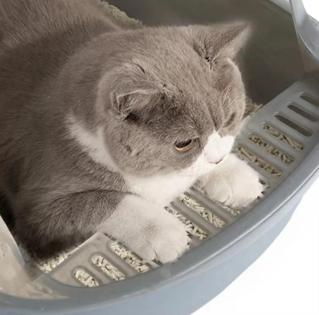 PetsFriendStore™ Open Cat Litter Box